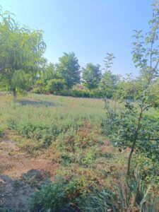 Продава къща в село Царевец​