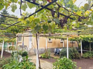 Имоти Денева Продава къща с дворно място в село Победа, община Добрич​