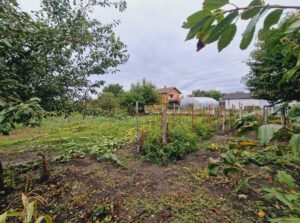 Имоти Денева Продава къща с дворно място в село Победа, община Добрич​