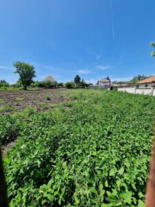 Продава парцел в село Козлодуйци, област Добрич