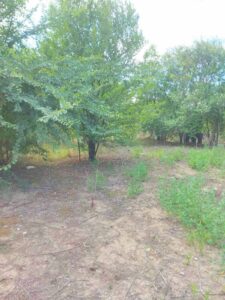 Продава парцел 1100кв.м. в с. ПАСКАЛЕВО, обл. Добрич.