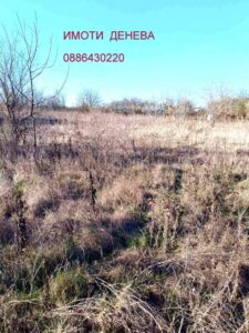 Недвижими имоти Денева продава парцел с къща за събаряне в с. Методиево, общ. Добрич